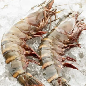 Extra large black tiger prawns, sent live frozen. 🦐 $14.99 【32 pcs 】 【entertain for dinner】